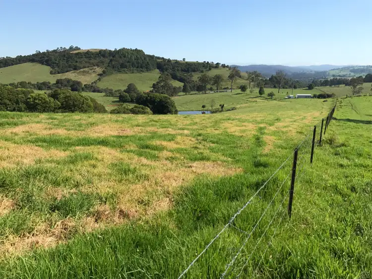 Fifth view of Homely rural property listing, 383 Emersons Road, Dorrigo NSW 2453