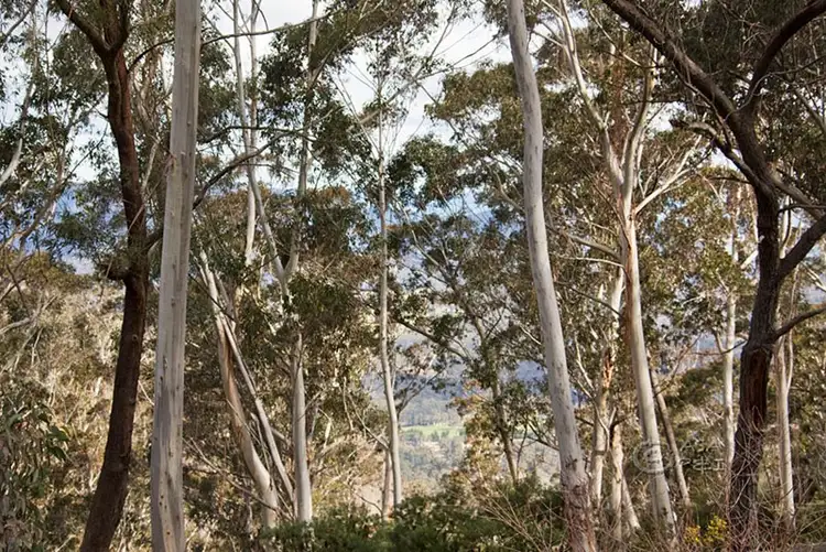 Third view of Homely house listing, 163 Victoria Street, Mount Victoria NSW 2786