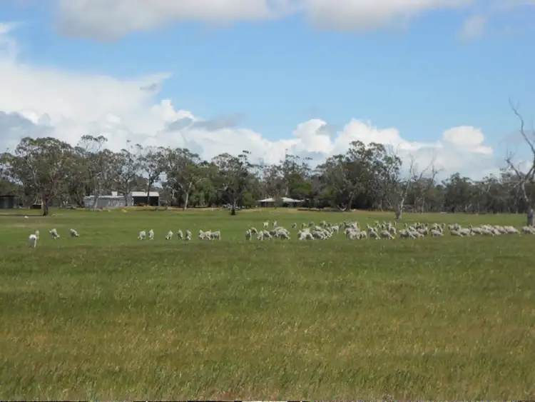 Main view of Homely rural property listing, 2147 Bangham Road, Frances SA 5262