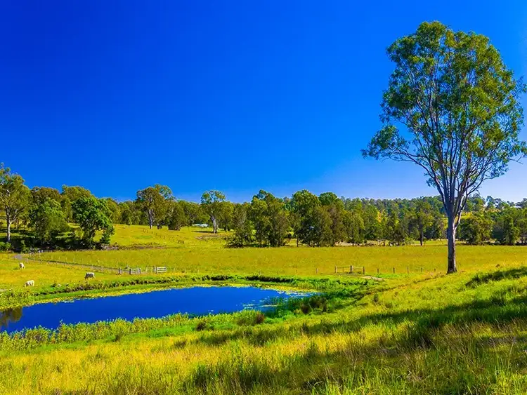 Sixth view of Homely rural property listing, 500 Cainbable Creek Road, Cainbable QLD 4285