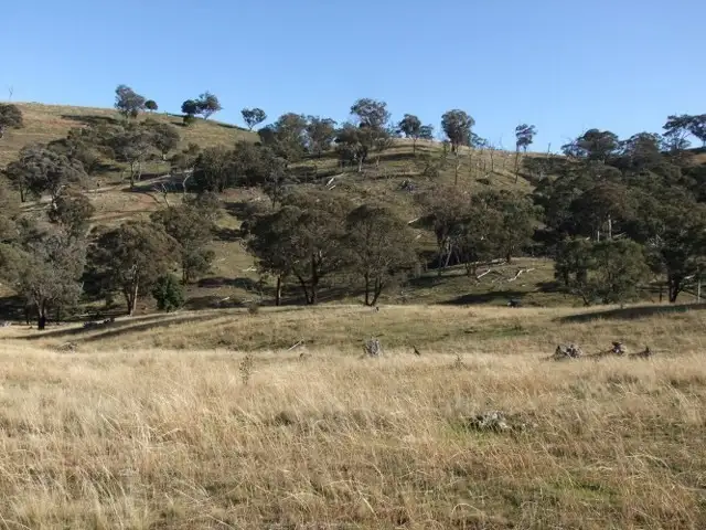 Main view of Homely rural property listing, Address available on request