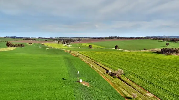 Third view of Homely rural property listing, "Allens" 304 Calcannia Road, Clare SA 5453