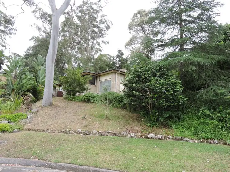 Main view of Homely house listing, 3 Camphor Close, Wyoming NSW 2250