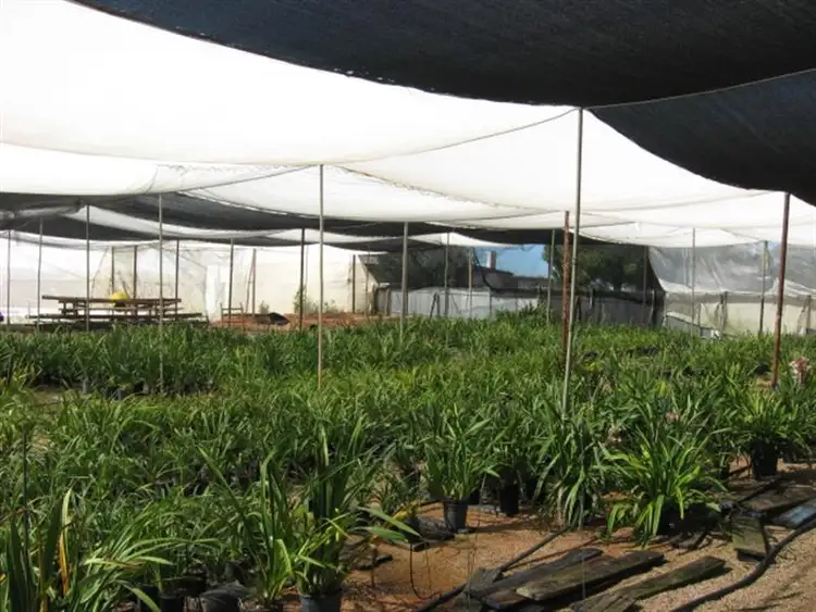 Seventh view of Homely house listing, 129 Macgillivary Road, Glossop SA 5344