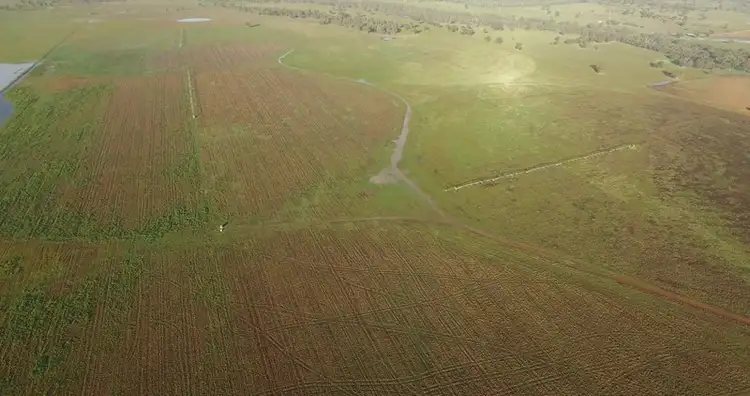 Third view of Homely rural property listing, 60 Gillinbah Creek, Narrandera NSW 2700