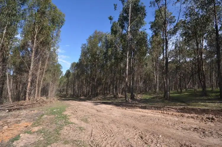 Seventh view of Homely rural property listing, Address available on request