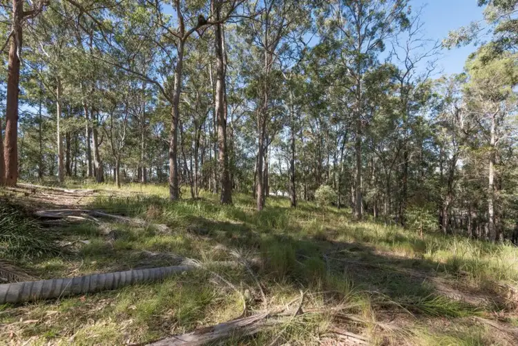 Third view of Homely land listing, 38 Simpsons Road, Currumbin Waters QLD 4223