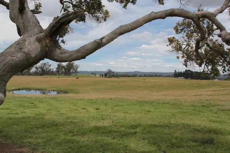 Fifth view of Homely rural property listing, 167 Nutshell Road, Tenterfield NSW 2372