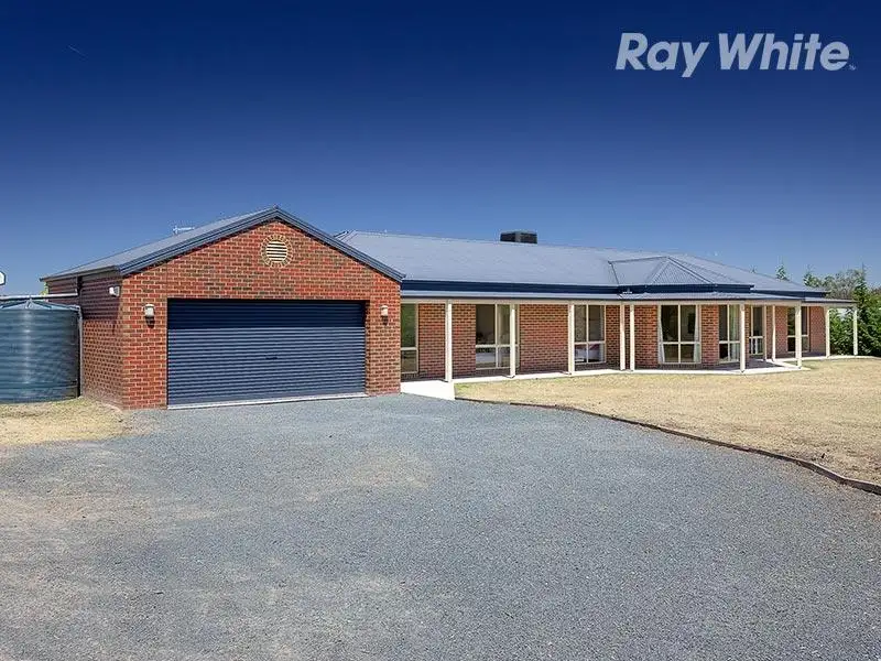 Main view of Homely house listing, 31 Lobbe Road, Thurgoona NSW 2640