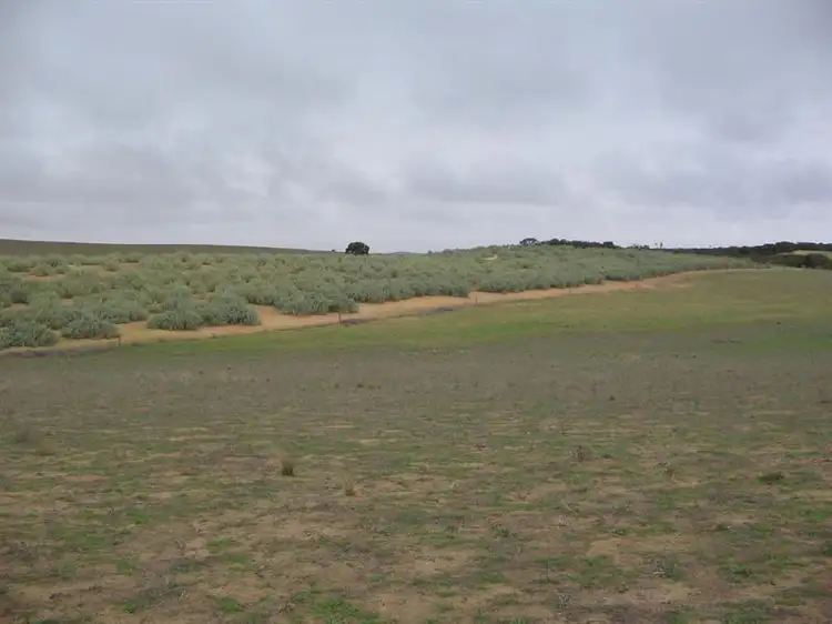 Fifth view of Homely rural property listing, Lot 32 Lee Road, Lameroo SA 5302