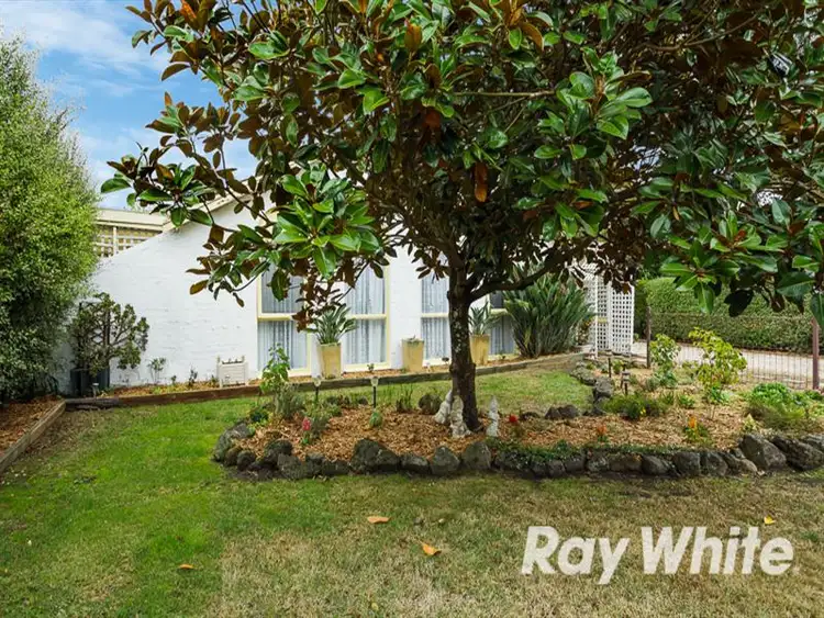 Seventh view of Homely house listing, 10 Carinya Court, Hastings VIC 3915