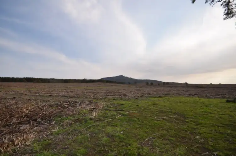 Seventh view of Homely rural property listing, Pilgrim South Buangor - Ben Nevis Road, Warrak VIC 3377