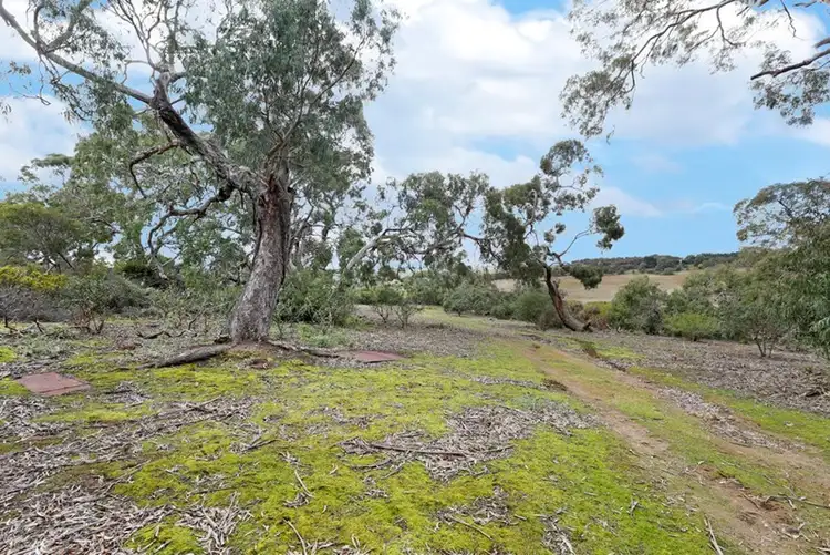 Second view of Homely house listing, 1804 Hamilton Highway, Murgheboluc VIC 3218