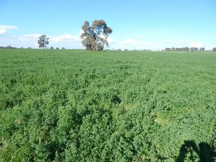 6138 Olympic Way, Cowra NSW 2794