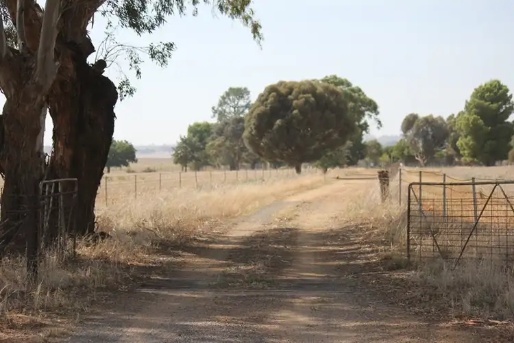 Fourth view of Homely rural property listing, 273 Coolamon Road, Wagga Wagga NSW 2650