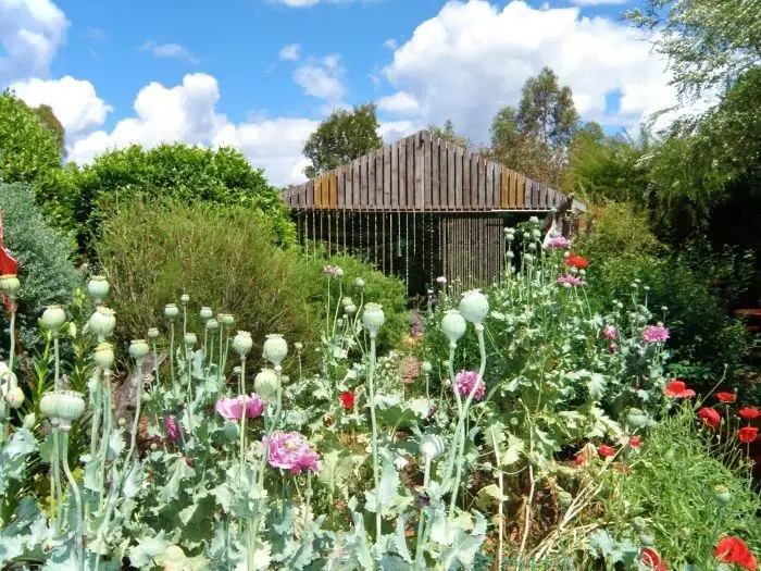 Fourth view of Homely house listing, 1 North Street, Nannup WA 6275