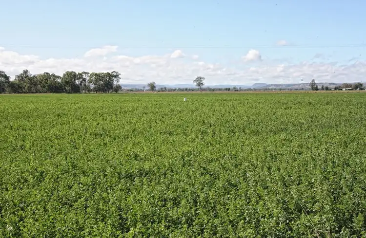 Second view of Homely rural property listing, 40345 Burnett Highway, Biloela QLD 4715