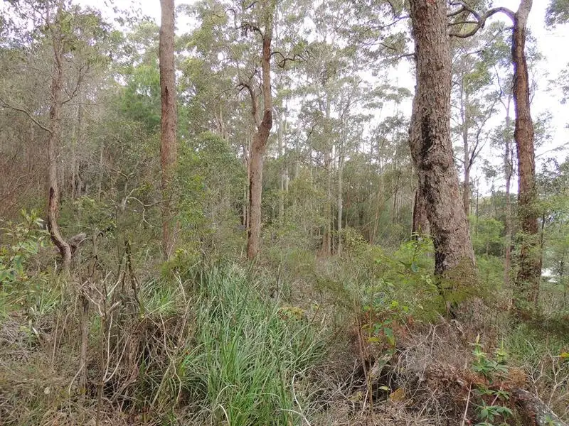 Main view of Homely land listing, 19 Jasper Place, Denmark WA 6333