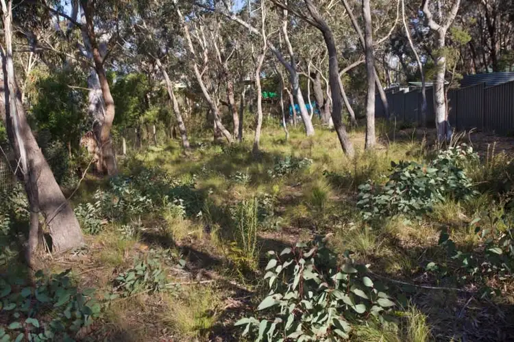 Block 15 - Lot 161 DP 16449 - 65 Bettington Road, Blackheath NSW 2785