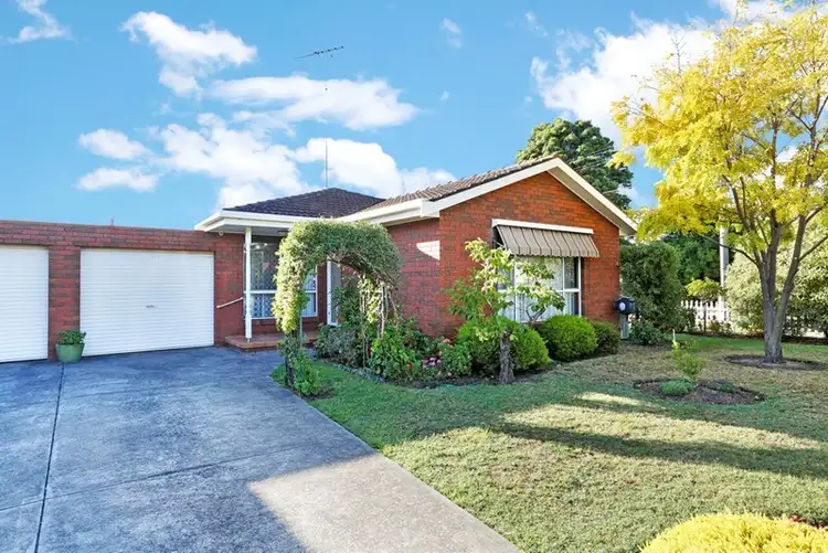 Main view of Homely house listing, 3/41 Rugby Street, Belmont VIC 3216