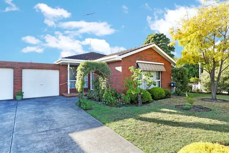 Main view of Homely house listing, 3/41 Rugby Street, Belmont VIC 3216