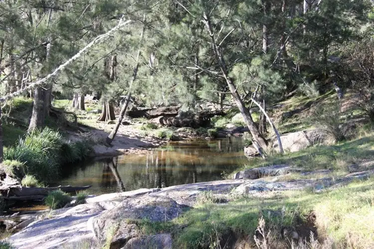 Third view of Homely rural property listing, 10201 Bruxner Highway, Tenterfield NSW 2372