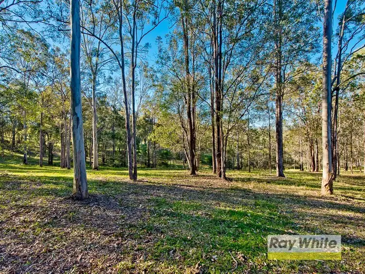 Second view of Homely house listing, 6 Springfield Court, Wights Mountain QLD 4520