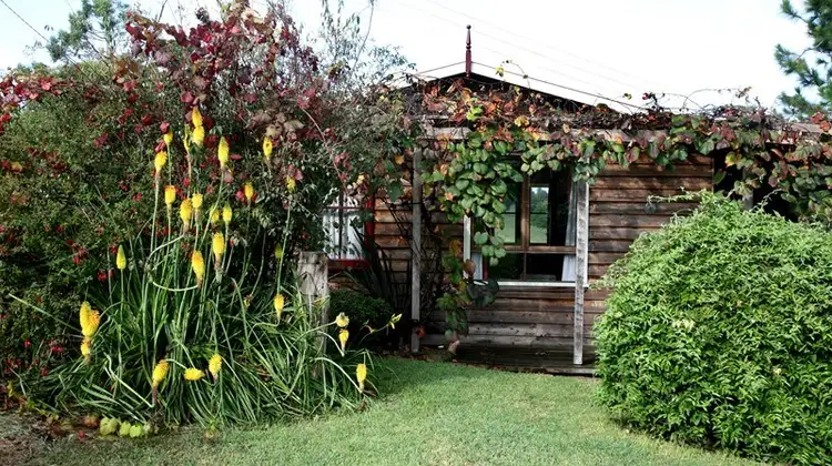 Fourth view of Homely rural property listing, 118 Mountain Top Road, Dorrigo NSW 2453