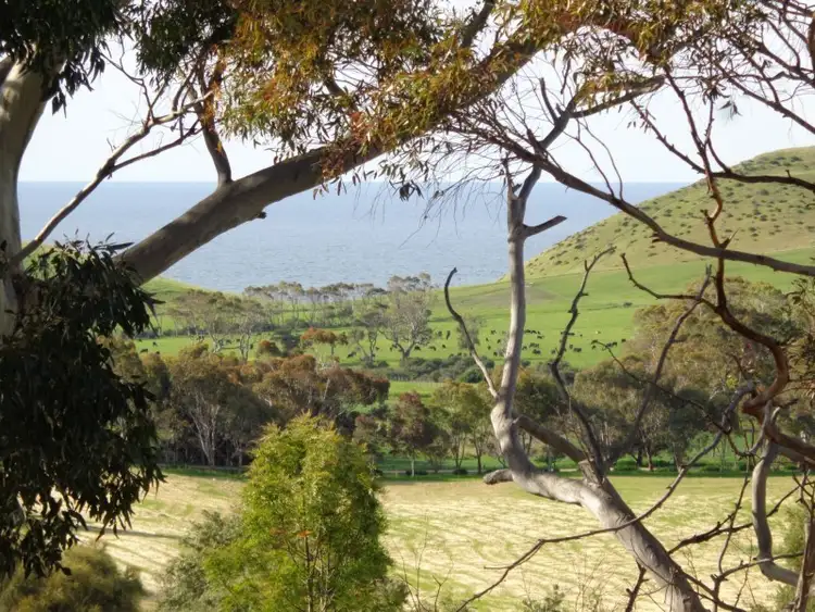 Second view of Homely house listing, 5 Caslake Close, Second Valley SA 5204