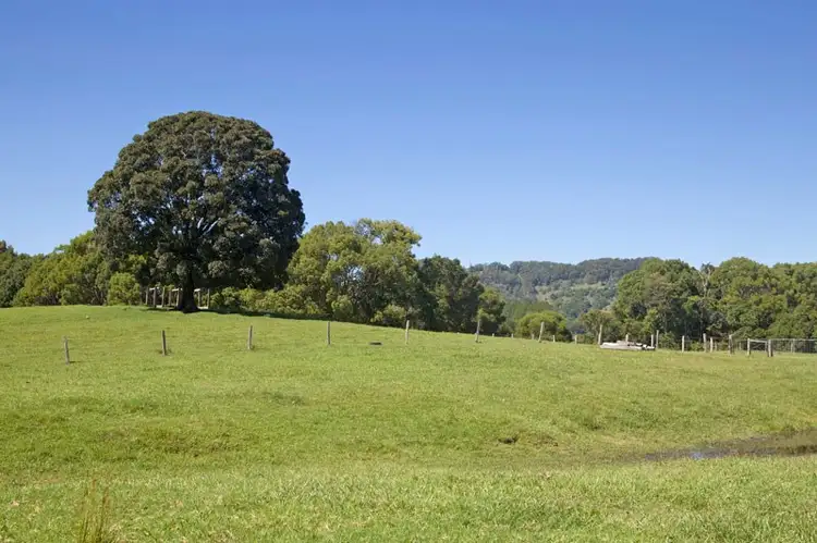 Fifth view of Homely house listing, 113 Left Bank Road, Mullumbimby NSW 2482