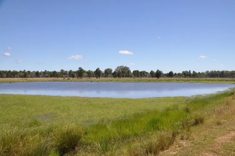 Sixth view of Homely rural property listing, "Namoi" Namoi Road, Dingo QLD 4702