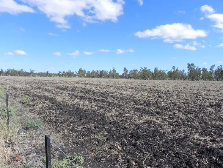 Seventh view of Homely rural property listing, 1663 Millmerran Leyburn Road, Tummaville QLD 4352