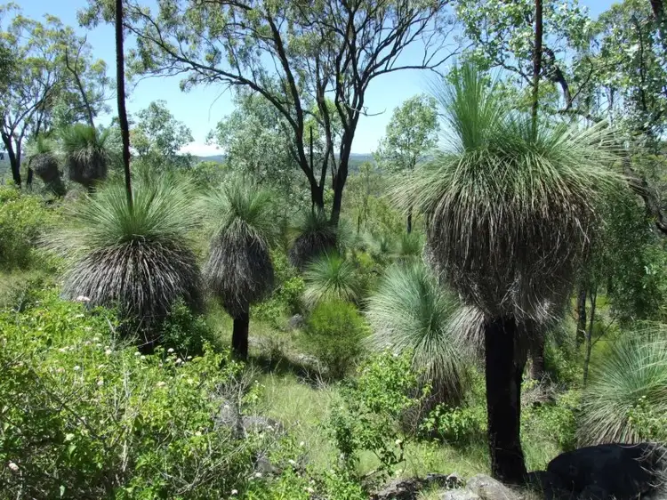 Fourth view of Homely rural property listing, L1 Emu Creek Road, Emu Creek QLD 4355