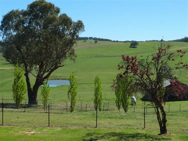 Fifth view of Homely rural property listing, 413 Kings Plains Road, Blayney NSW 2799