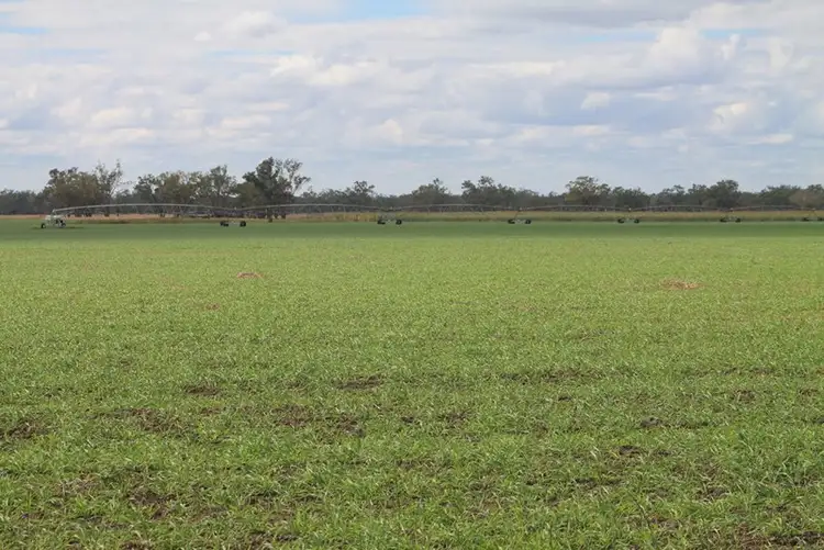 Sixth view of Homely rural property listing, LOT 11 INGABY Road, St George QLD 4487