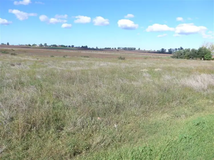 Fifth view of Homely land listing, 25 Hombsch Road, Cobdogla SA 5346