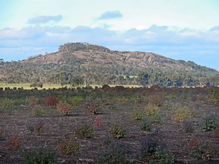 Main view of Homely rural property listing, 1583 Bandit Road, Denmark WA 6333