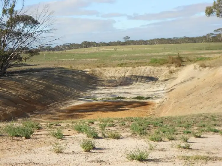 Fourth view of Homely rural property listing, 966 Pine Hill Road, Bordertown SA 5268