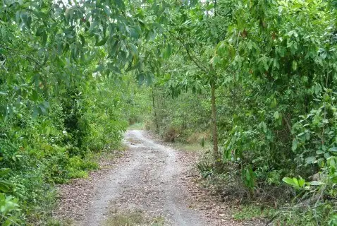 Third view of Homely land listing, Lot 3 Wheatley Road, Wongaling Beach QLD 4852