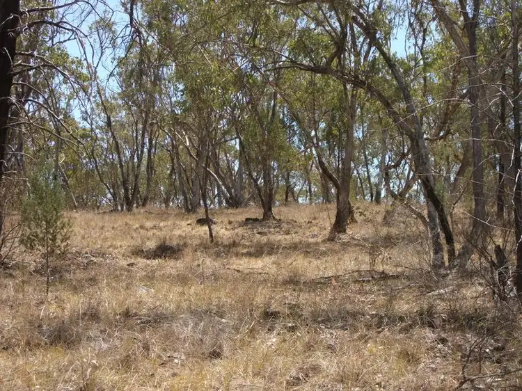 Fourth view of Homely rural property listing, Bald Hill Newell Highway, Coonabarabran NSW 2357