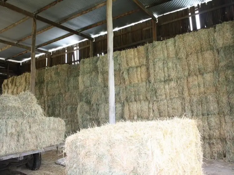 Seventh view of Homely rural property listing, 18 Cania Road, Monto QLD 4630