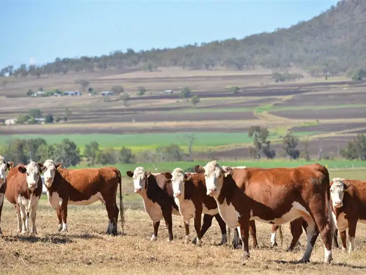 Fourth view of Homely rural property listing, 157 Forest Springs Goomburra Road, Goomburra QLD 4362