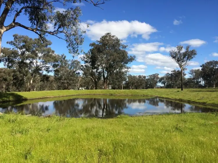 Fourth view of Homely rural property listing, 1470 Darbys Falls Road, Darbys Falls NSW 2793