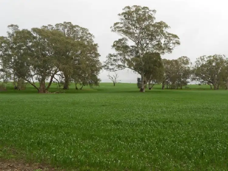 Seventh view of Homely rural property listing, 433 Golf Course Road, Bordertown SA 5268