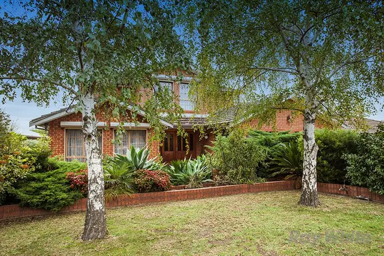 Main view of Homely house listing, 16 Brandon Court, Endeavour Hills VIC 3802
