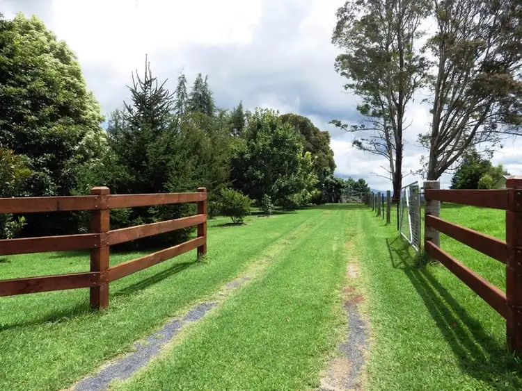 Sixth view of Homely rural property listing, 291 Paddys Plain Road, Dorrigo NSW 2453