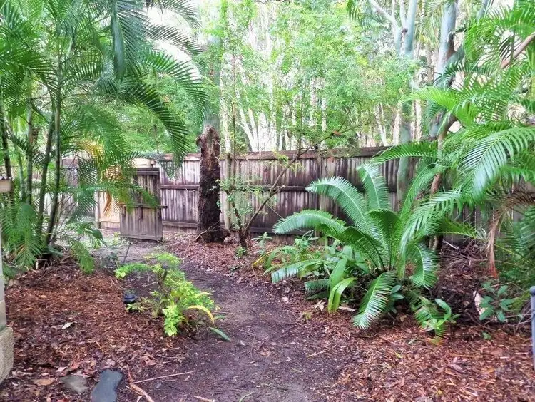 Seventh view of Homely house listing, 98 Marlin Drive, Wonga QLD 4873