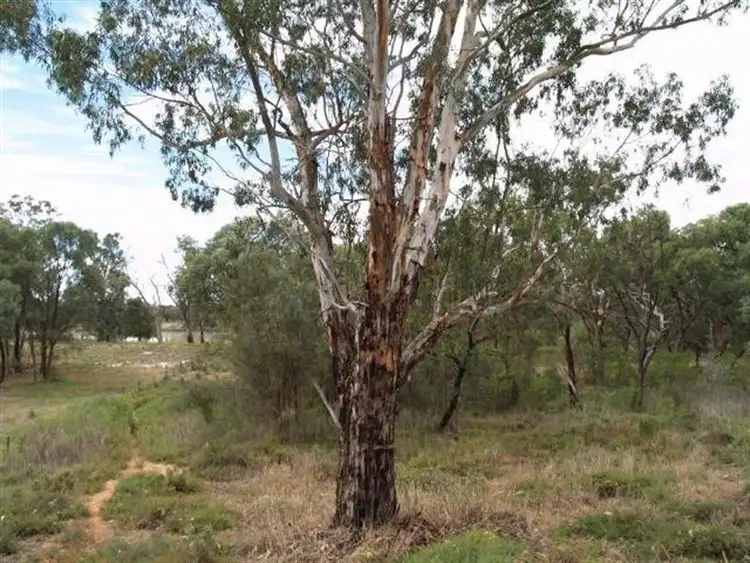 Fifth view of Homely land listing, Sec 158 River Terrace, Cadell SA 5321