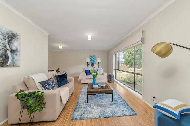 Main view of Homely house listing, 6/41 Jinka Street, Hawker ACT 2614