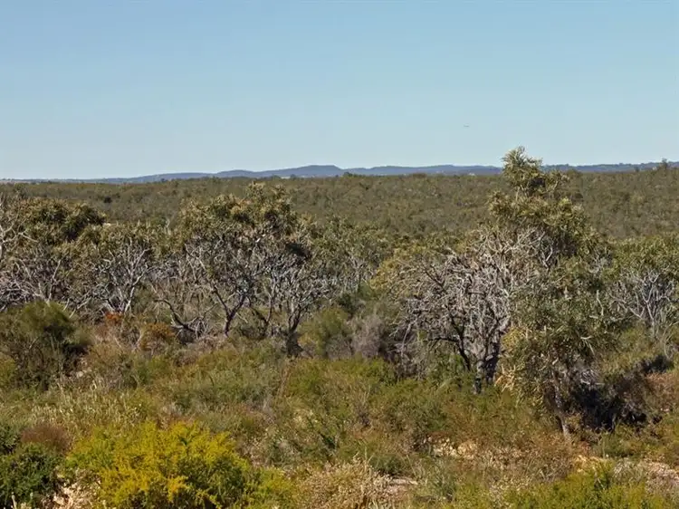 Fifth view of Homely land listing, Lot 11 Wren Way, Jurien Bay WA 6516